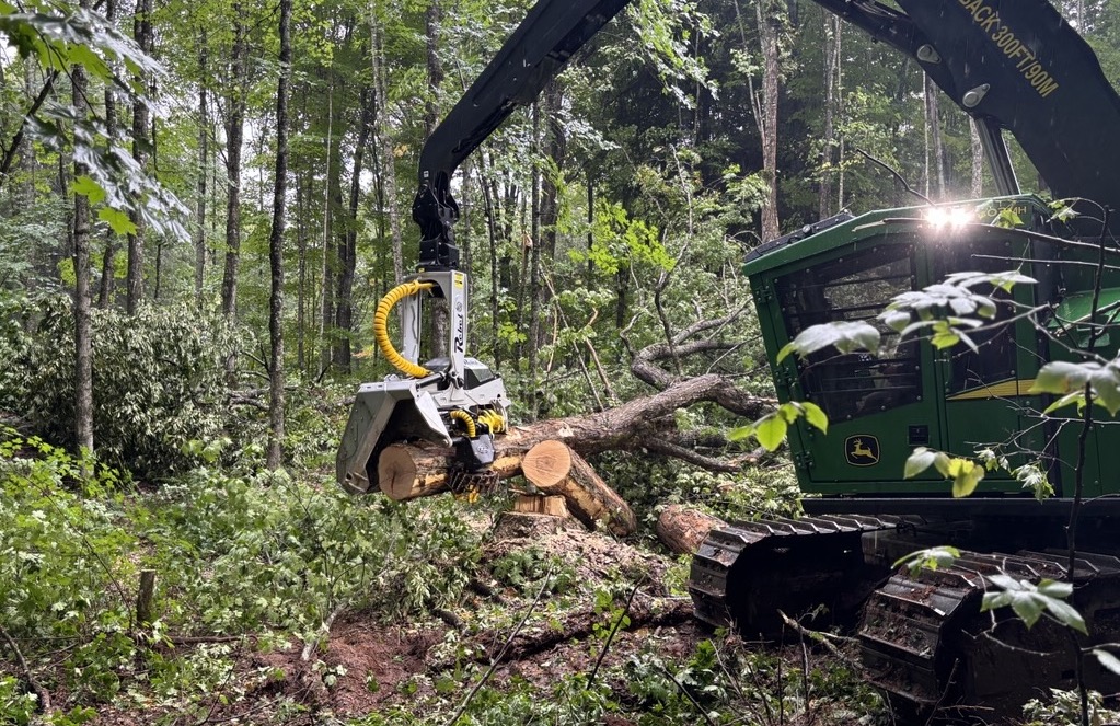 Carrier requirements